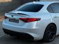 Alfa Romeo Giulia Quadrif 2.9 510 Sparco Carbon Schale H&K Weiß - thumbnail 7