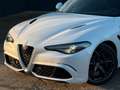Alfa Romeo Giulia Quadrif 2.9 510 Sparco Carbon Schale H&K Weiß - thumbnail 2
