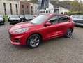 Ford Kuga Plug-In Hybrid ST-Line X Rosso - thumbnail 2