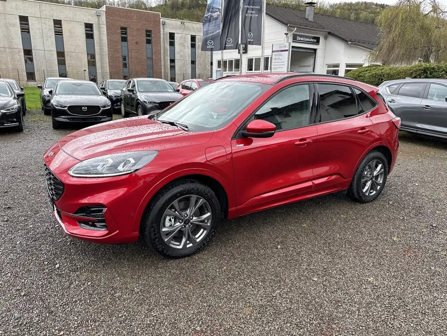 Ford Kuga Plug-In Hybrid ST-Line X Rot - 2