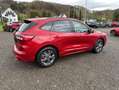 Ford Kuga Plug-In Hybrid ST-Line X Rojo - thumbnail 4