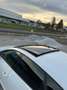 SEAT Leon FR 1,4 TSI Start-Stopp *Panorama* Weiß - thumbnail 3