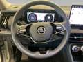 Skoda Kodiaq Selection 2.0 TDI DSG 4x4 *MATRIX*AHK*ACC Silber - thumbnail 13