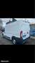 Fiat Ducato Frigo 3.0L ESSENCE GNV 136CV Rouge - thumbnail 2
