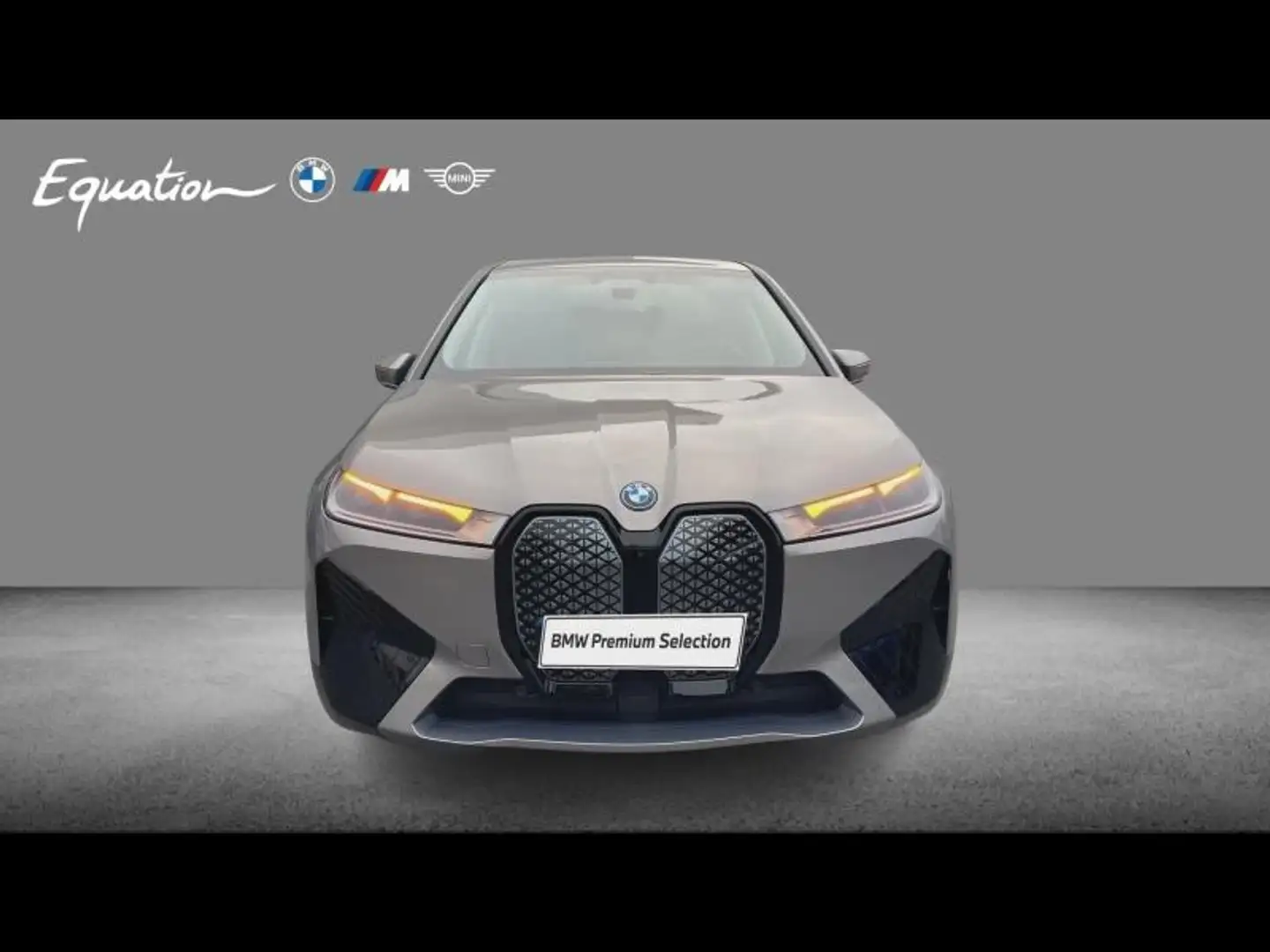BMW iX xDrive40 326ch Limited Edition Gris - 2