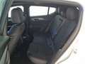 Alfa Romeo Tonale Tonale 1.6 diesel 130 CV TCT6 Veloce Bianco - thumbnail 14