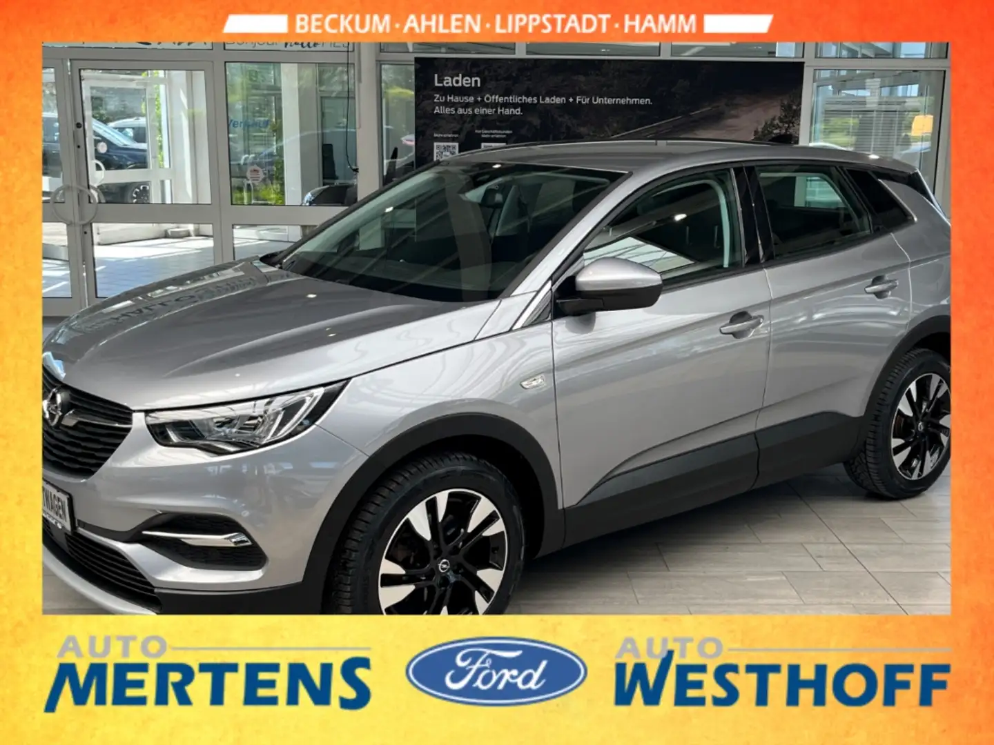 Opel Grandland X Elegance Navi + Kamera + LED Grau - 2