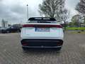 Nissan Ariya Evolve Pack 87 KWH 242PS HUD Panorama Navi 20Zoll Weiß - thumbnail 7