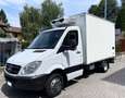 Mercedes-Benz Sprinter CASSA FRIGO ATP Isotermico FNAX Coibentato Bianco - thumbnail 4