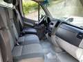 Mercedes-Benz Sprinter CASSA FRIGO ATP Isotermico FNAX Coibentato Bianco - thumbnail 10