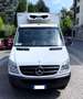 Mercedes-Benz Sprinter CASSA FRIGO ATP Isotermico FNAX Coibentato Bianco - thumbnail 3