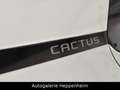 Citroen C4 Cactus Shine/NAV/SHZ/PDC/R-KAM/ALU Weiß - thumbnail 23