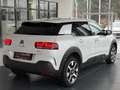 Citroen C4 Cactus Shine/NAV/SHZ/PDC/R-KAM/ALU Weiß - thumbnail 7