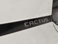 Citroen C4 Cactus Shine/NAV/SHZ/PDC/R-KAM/ALU Weiß - thumbnail 23