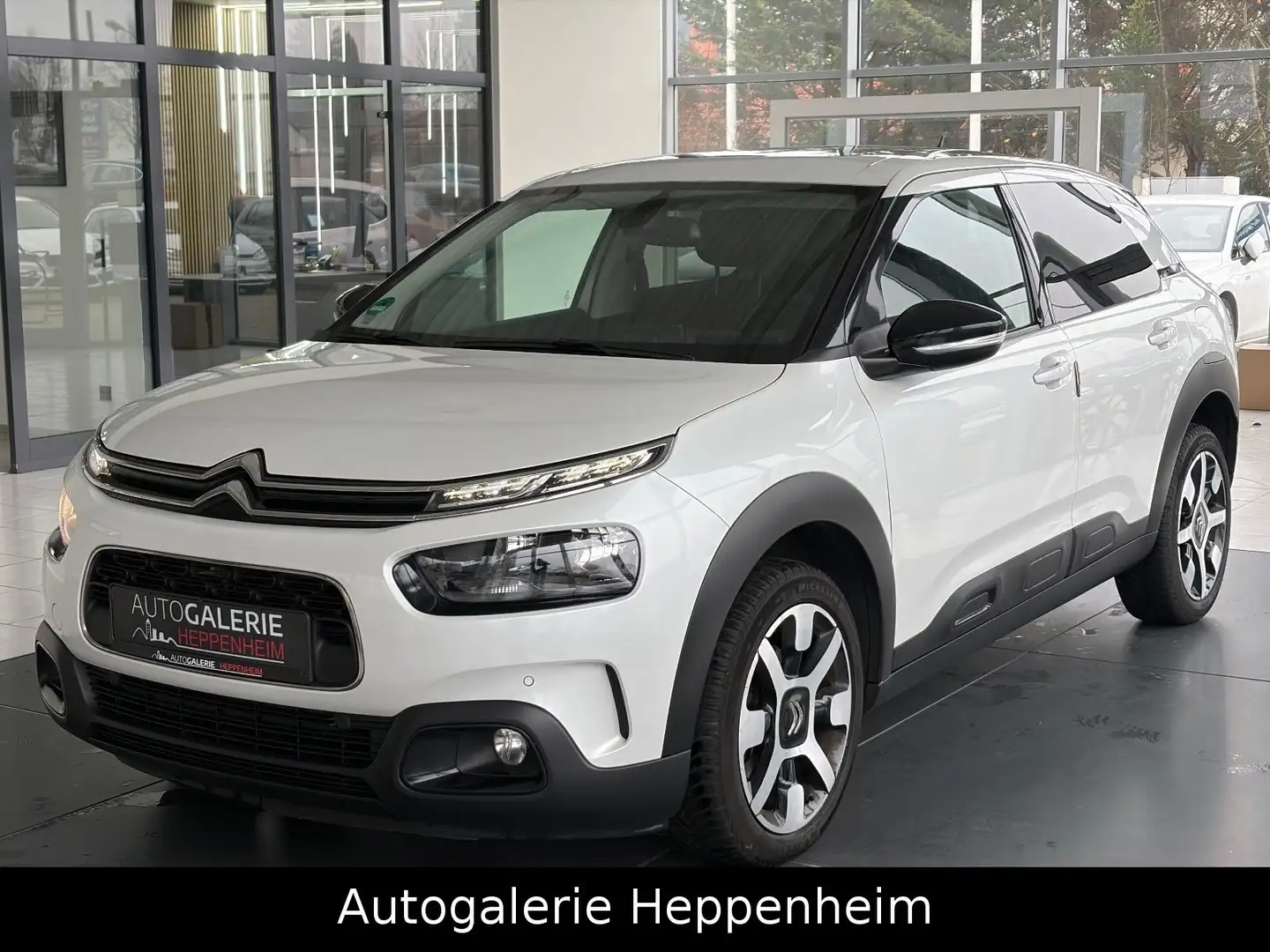 Citroen C4 Cactus Shine/NAV/SHZ/PDC/R-KAM/ALU Weiß - 1