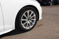Audi A4 Limousine 35 TDI advanced AHK LED ACC Weiß - thumbnail 9