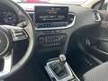 Kia Ceed SW / cee'd SW Sportswagon 1.5 T-GDi DynamicPlusLine 1e eign. BTW Gris - thumbnail 30
