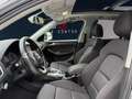 Audi Q5 3.0 TDI/Quattro/Automatik/Pano Grau - thumbnail 9