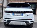 Land Rover Range Rover Evoque R Dinamic Bianco - thumbnail 5