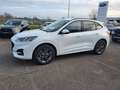 Ford Kuga 2.5 Duratec 225ch PHEV ST-Line BVA Blau - thumbnail 2