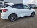 Ford Kuga 2.5 Duratec 225ch PHEV ST-Line BVA Blau - thumbnail 4