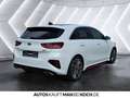 Kia Ceed / cee'd Ceed 1.6 T-GDI SW GT PANO NAVI LEDER LED KEYLE Weiß - thumbnail 4