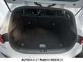 Kia Ceed / cee'd Ceed 1.6 T-GDI SW GT PANO NAVI LEDER LED KEYLE Weiß - thumbnail 14
