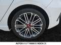 Kia Ceed / cee'd Ceed 1.6 T-GDI SW GT PANO NAVI LEDER LED KEYLE Weiß - thumbnail 18