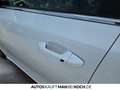 Kia Ceed / cee'd Ceed 1.6 T-GDI SW GT PANO NAVI LEDER LED KEYLE Weiß - thumbnail 19