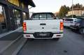 EVO Cross4 Evo Cross 4 2.0 Turbo Diesel Doppia Cabina Bianco - thumbnail 7