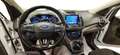 Ford Kuga Kuga 1.5 EcoBoost 120 CV S&S 2WD Business  PRONTA Weiß - thumbnail 7