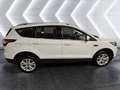 Ford Kuga Kuga 1.5 EcoBoost 120 CV S&S 2WD Business  PRONTA Weiß - thumbnail 1