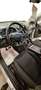 Ford Kuga Kuga 1.5 EcoBoost 120 CV S&S 2WD Business  PRONTA Weiß - thumbnail 8