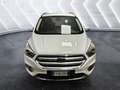 Ford Kuga Kuga 1.5 EcoBoost 120 CV S&S 2WD Business  PRONTA Weiß - thumbnail 2