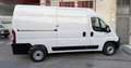 Fiat Ducato Fg. 35 2.2Mjt L2 H2 Easy Pro 140CV Blanco - thumbnail 12
