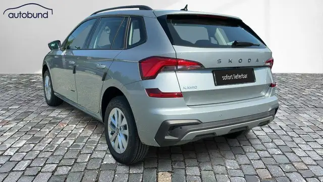 Skoda Kamiq view 2