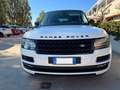 Land Rover Range Rover AUTOBIOGRAPHY 3.0 HEV SDV6 292cv Bianco - thumbnail 11