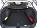Volkswagen Golf Variant 1.5 eTSI DSG Life Lenkradheiz. Navi ACC Blanco - thumbnail 12