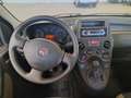 Fiat Panda Panda 1.3 mjt 16v Climbing 4x4 Or - thumbnail 8