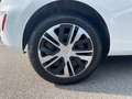 Ford Fiesta Fiesta Van 1.1 75cv Trend My20 Wit - thumbnail 26