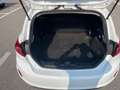 Ford Fiesta Fiesta Van 1.1 75cv Trend My20 Wit - thumbnail 25