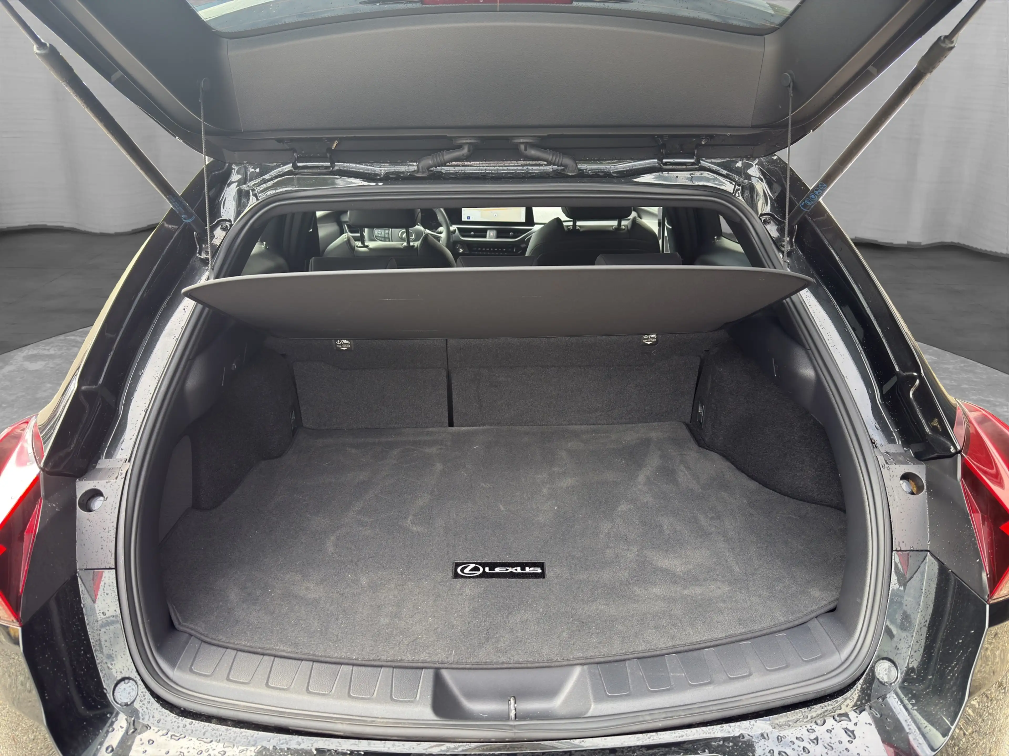 Lexus UX 300h F-Sport Design 199PS 2WD — photo 5