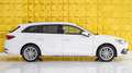 SEAT Leon Xcellence*2.Hd*KAM*ACC*KEYLESS Weiß - thumbnail 41