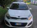 Kia Rio 5p 1.2 Active eco-dynamics gpl - thumbnail 4