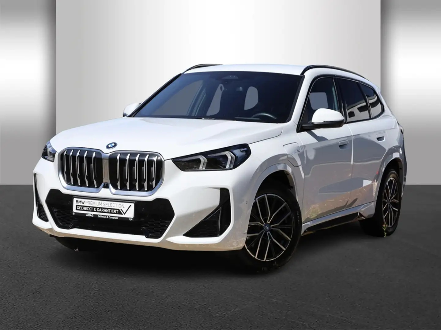 BMW X1 xDrive30e Steptronic M Sportpaket Head-Up AHK Weiß - 2