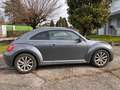 Volkswagen Beetle Grigio - thumbnail 2