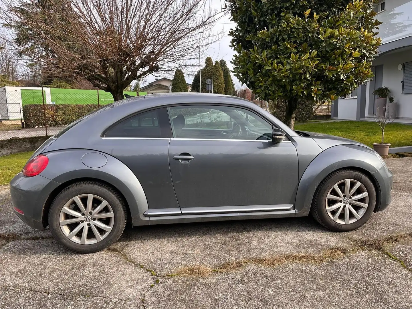 Volkswagen Beetle Grigio - 2