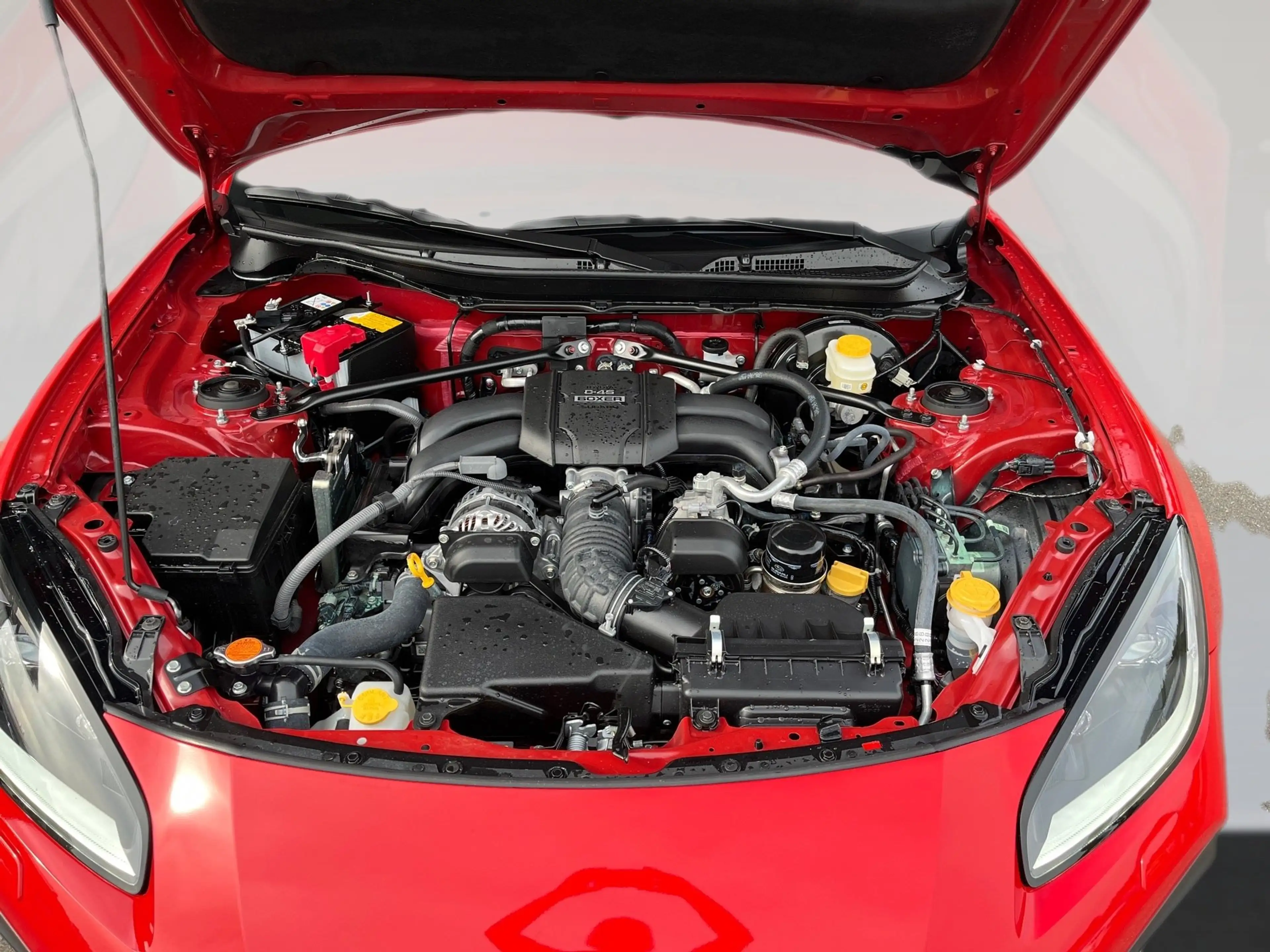 Toyota GR86 2.4 6-Gang — photo 13