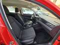 Volkswagen Polo 1.0 Edition 59kW Rojo - thumbnail 21