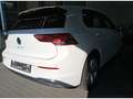 Volkswagen Golf VIII 1.5 TSI Life Navi LED Rückfahrkamera L Weiß - thumbnail 2